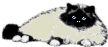 Image Name